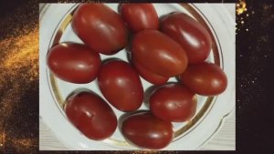 Раннеспелые сорта томатов. г. Киров