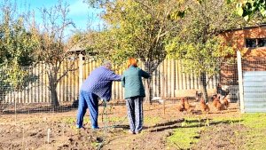 860 Почему мы Купили Этот старый дом.В УСАДЬБЕ на Кубани. И снова рабочие будни.