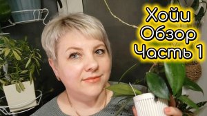 ОБЗОР КОЛЛЕКЦИИ | ХОЙИ | ЧАСТЬ 1
