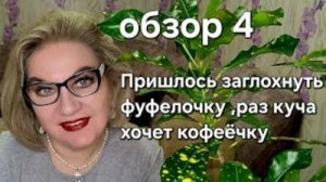 Пришлось заглохнуть фуфелочку, раз куча хочет кофеёчку❗️