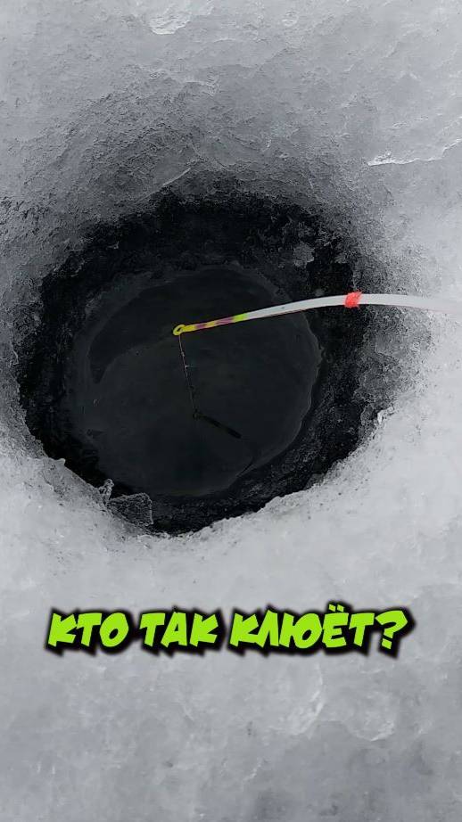 Кто так клюёт?