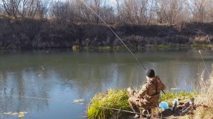 Рыбалка. Дуплет ГОЛАВЛЯ,ОКУНЬ на микро-живца,ПЛОТВА на ПОПЛАВОК!