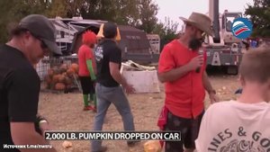 Гигантская 900-килограммовая тыква раздавила старый автомобиль на фестивале