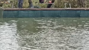 до запуска 3