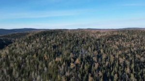 Долина реки Колба