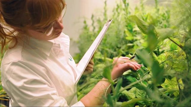 Первая в России лаборатория испытания агрохимии в условиях спидбридинга