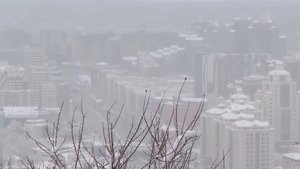 Первый снегопад привел к массовым авариям на дорогах и отключению света в Алматы