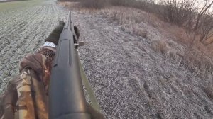 ОХОТА НА ЗАЙЦА ЗИМОЙ