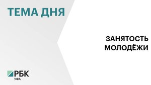 В Башкортостане численность занятой молодежи за пять лет снизилась на 20%