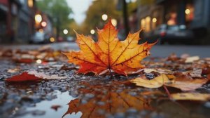 Радоваться осени