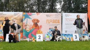 20.09.2025, СПб. Клуб "Петрополь" (РКФ, РФЛС). Выставка собак САС 9 группы FCI