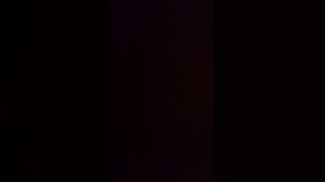 Книга называется: Доведённый до беременности. Том 1. глава 1.