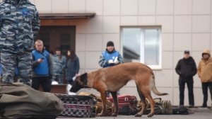 В Карелии прошли соревнования среди кинологов различных ведомств