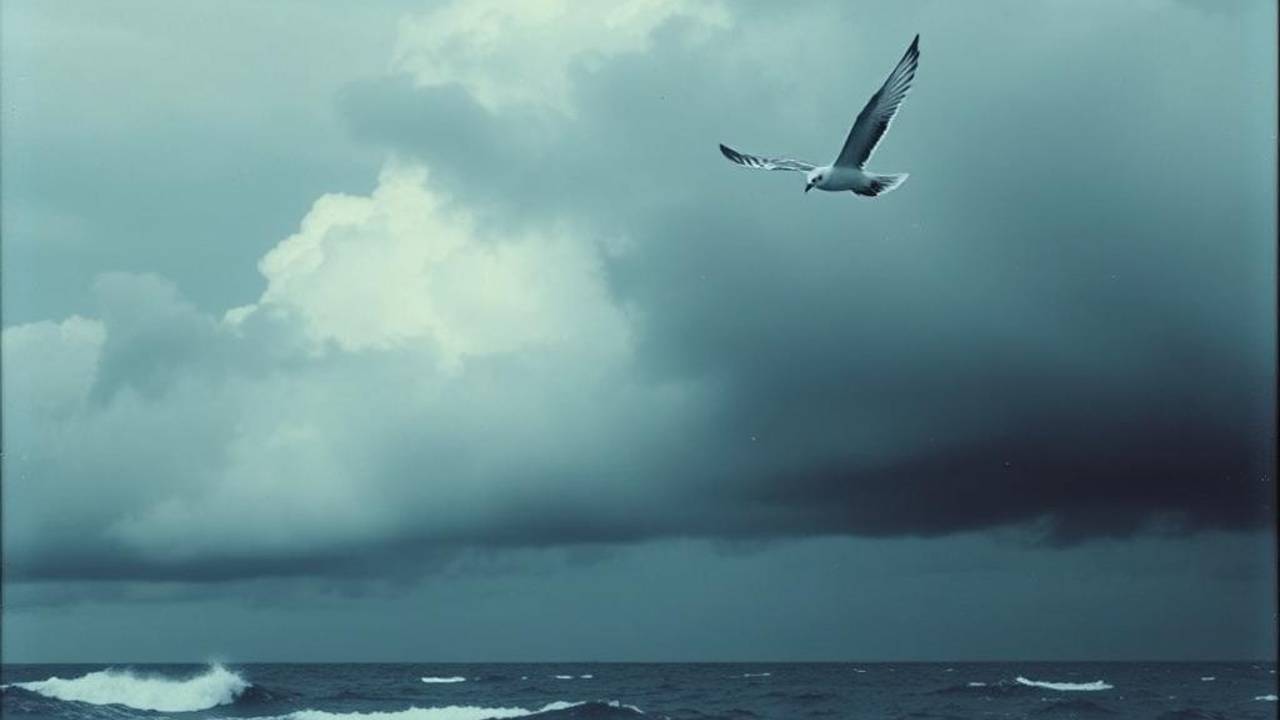 Taurus Orion Canis Major