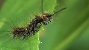 Фотосессия