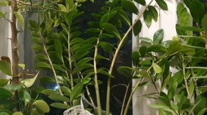 Всё впереди...