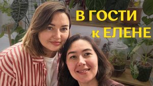 КРАСИВАЯ московская КВАРТИРА с РАСТЕНИЯМИ | в гостях У ЕЛЕНЫ | растения В ИНТЕРЬЕРЕ🪴