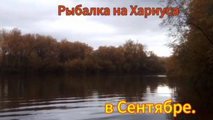 Рыбалка на хариуса в сентябре.