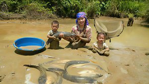 Ловлю рыбу из грязного пруда для продажи на рынке. Готовлю рыбу гриль для своей маленьной дочки