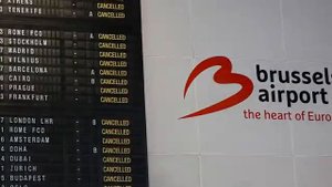 Масштабная операция. Облавы и задержания в Германии. Раскол усилился