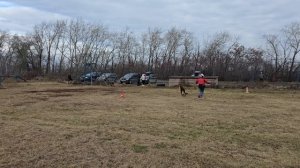 8.  выражено/перв АЛЛЕМО ХАУС ЛИБЕРТИ (Bolt del Colle Guasco – Аллемо Хаус Хасандра)