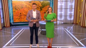 Утро в Петербурге 5 ноября