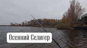 Осенний Селигер