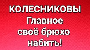 Колесниковы/Обзор.