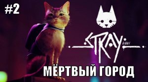 Stray Полное Прохождение на PS5 #2 Мёртвый город #stray #ps5 #ps4 #sony #cats #animals #прохождение