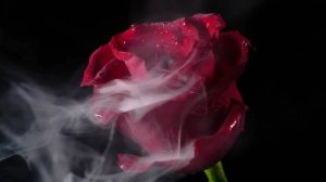 Я стою на ветру