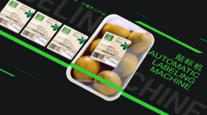 Чеквейер (конвейер-весы) с он-лайн печатью и этикетировкой аппликатором сверху