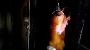 Жареная МОЛОЧНАЯ СВИНИНА на Углях с ХРУСТЯЩЕЙ Корочкой ГОНКОНГ Уличная Еда