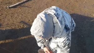 Поимки продолжаются