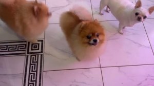 Всем сегодня красоту навели.