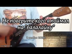 Не поверите кого я поймал на "балалайку". 02.11.25г.