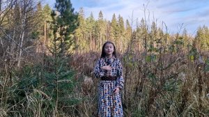 ко дню Народного Единства.mp4