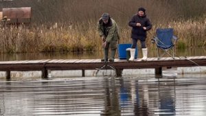 Поимки форели !!!