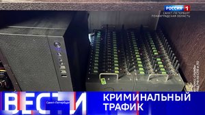 Вести Санкт-Петербург. Выпуск 11.30 от 05.11.2025