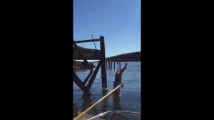 смешные видео тик