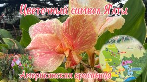 Крым. Осень. Прогулка по Никитскому ботаническому саду.