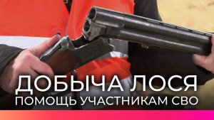 Новгородские охотники добыли лося для участников спецоперации