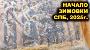 Начало зимовки. Санкт - Петербург, 2025г.