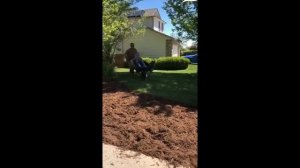 приколы видео самые смешные бесплатно