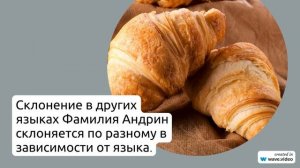 Фамилия Андрин: все, что нужно знать о происхождении, истории, значении и правильном склонении