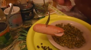 ОБЖОР ''ВЯЗАНКА''СОСИСКИ МЯСНЫЕ МОЛОЧНЫЕ, СТАРОДВОРСКИЕ КОЛБАСЫ, В БАНКЕ С  ГОРОШКОМ  НАШЕЛ ТУФТУ