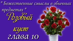 10) Розовый куст