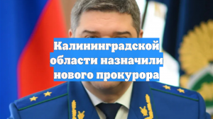 Калининградской области назначили нового прокурора