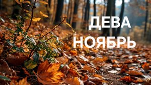 ДЕВА. ТАРО ПРОГНОЗ НА НОЯБРЬ