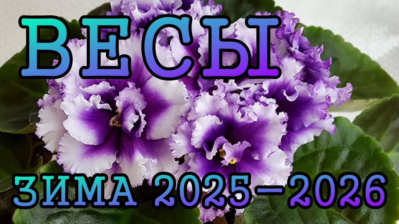 ВЕСЫ таро прогноз на ЗИМУ 2025-2026 года (декабрь 2025, январь и февраль 2026)