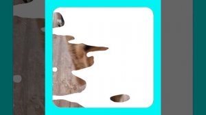 1000039249.mp4 (Собака смотрит на монтаж электропроводки (распайку р/коробок) в доме А-фрейм)